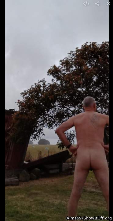 Adult image from Aims69