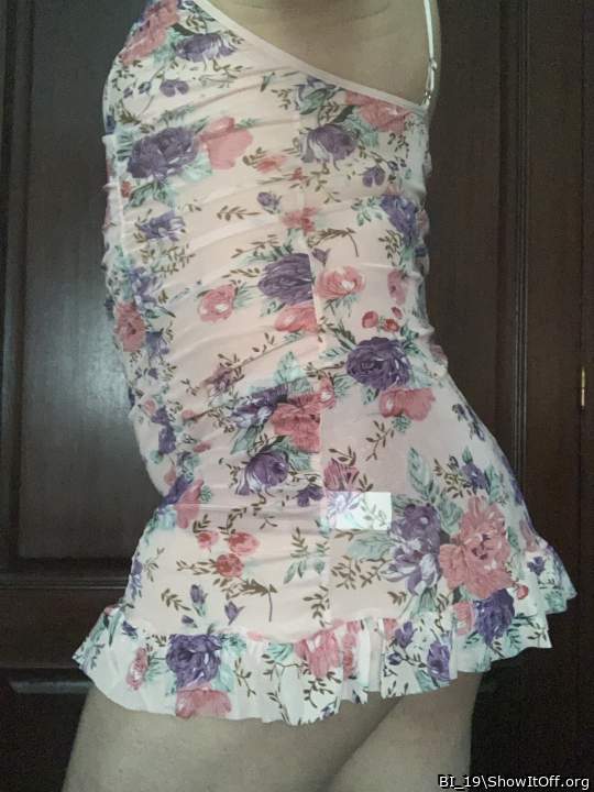 Adult image from BI_19