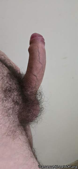 Powerful, hairy hard-on! Sexy pubes!