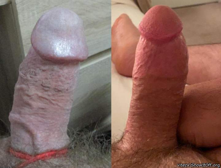 Left cock vs right cocks! Who wins?
