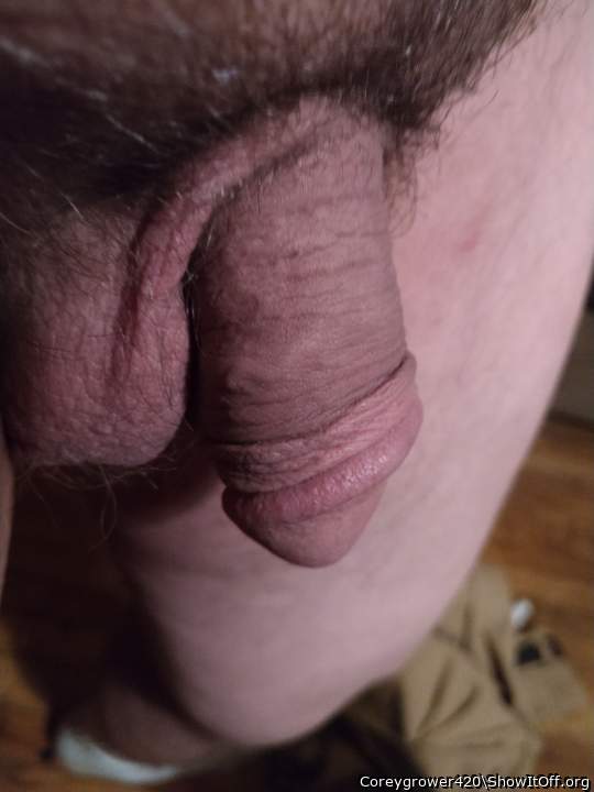 My penis