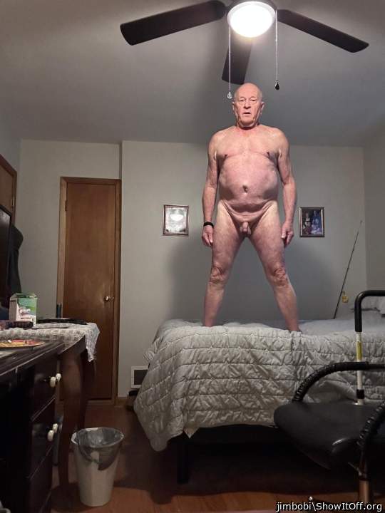 Adult image from jimbobi