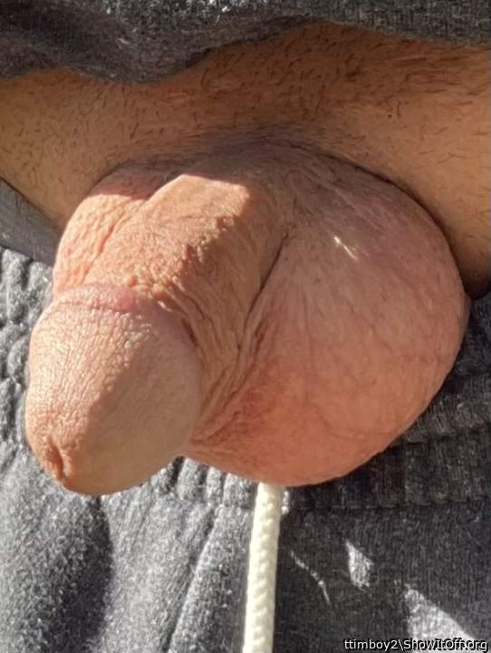 Adult image from ttimboy2