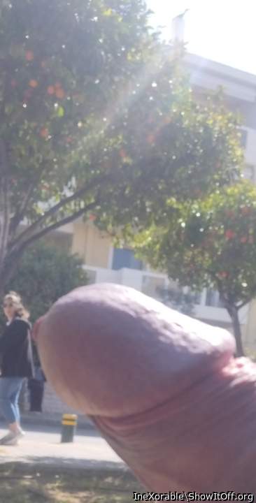 Flashing cock to women in public!