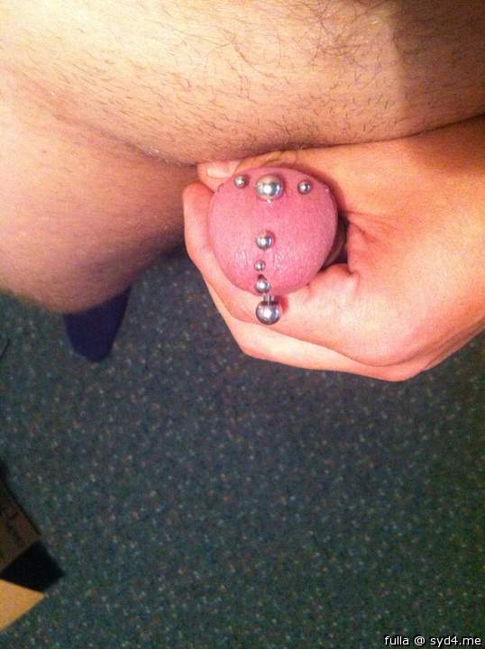 multiple cock piercings 2
