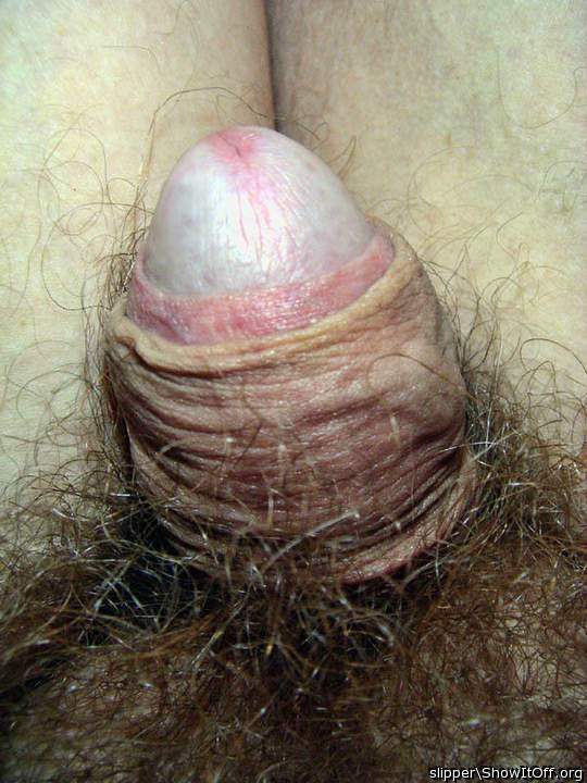great hairy cock 
