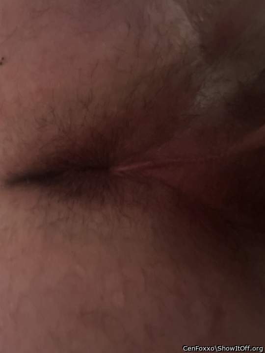 Adult image from CenFoxxo