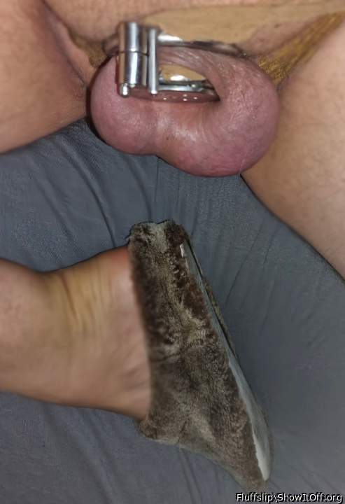 Adult image from Fluffslip