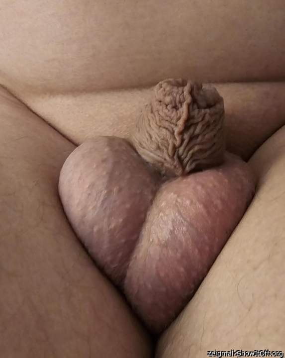 Pr�chtige Eier haste