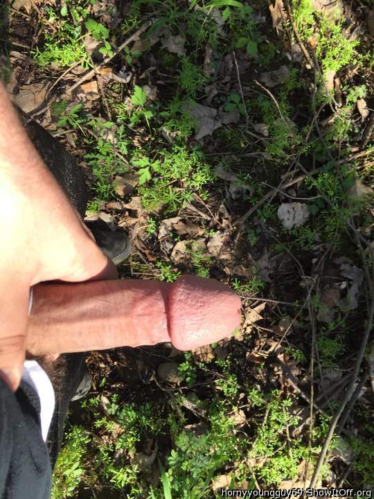Horny in the woods
