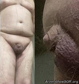 Adult image from Arinn