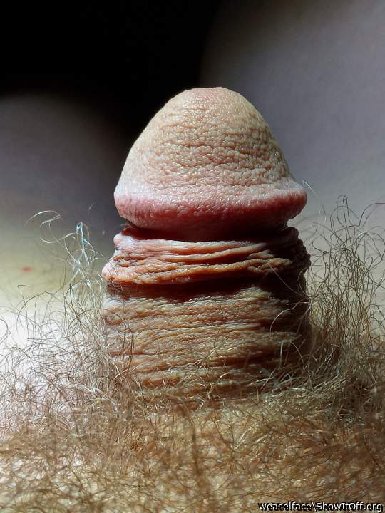 such a cute little dick   