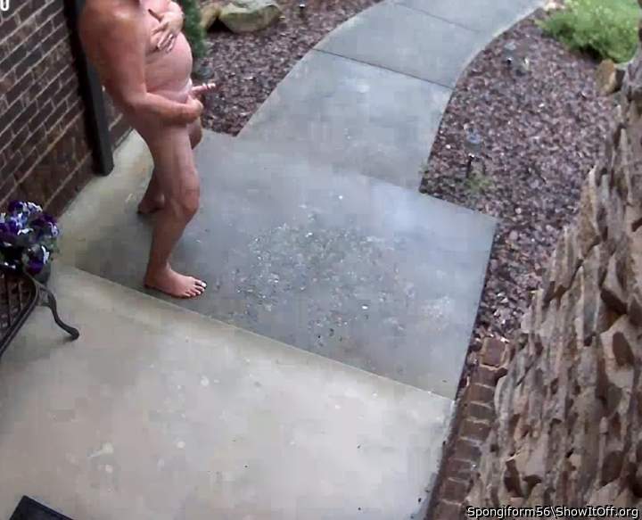 Adult image from Spongiform56