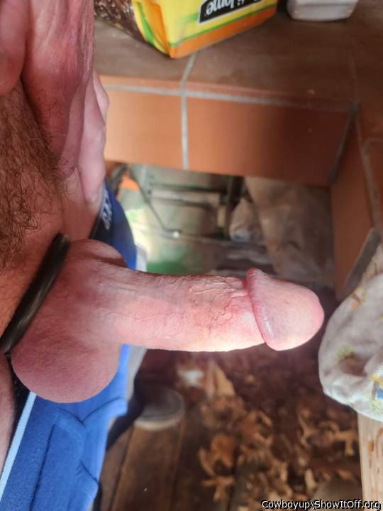 Adult image from Cowboyup