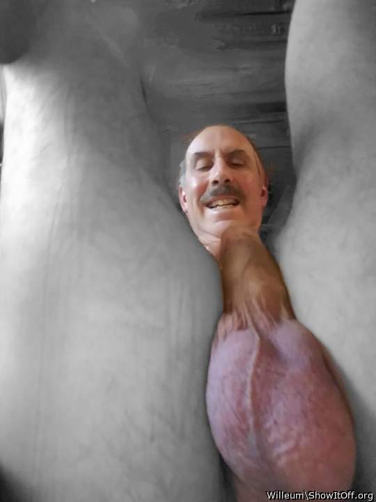 Adult image from Willeum