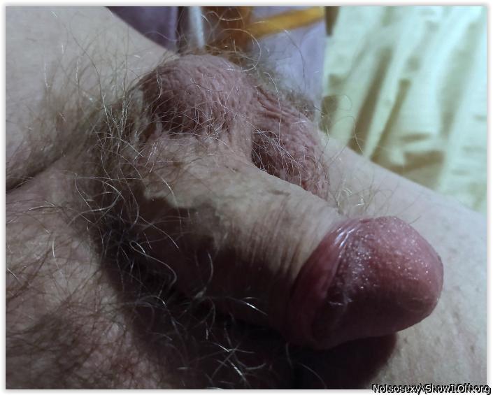 Adult image from Notsosexy