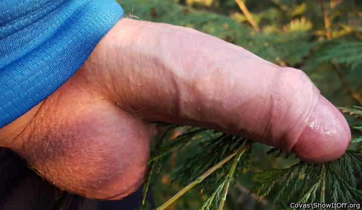 das sieht ja sehr verlockend aus, toller Schwanz 