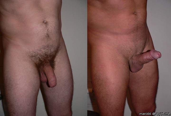 Wich is your favorit: hairy and limp or trimmed and stiff?