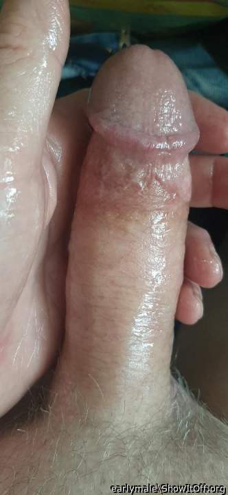 Adult image from earlymale