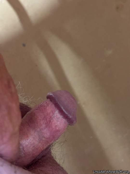 Adult image from Uncutdi