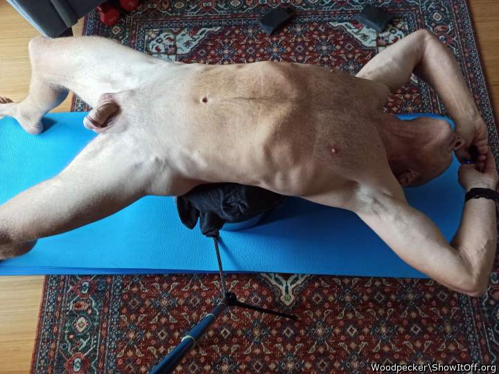 Adult image from Woodpecker