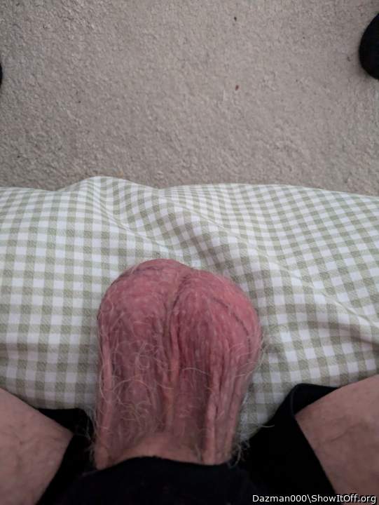 Adult image from Dazman000