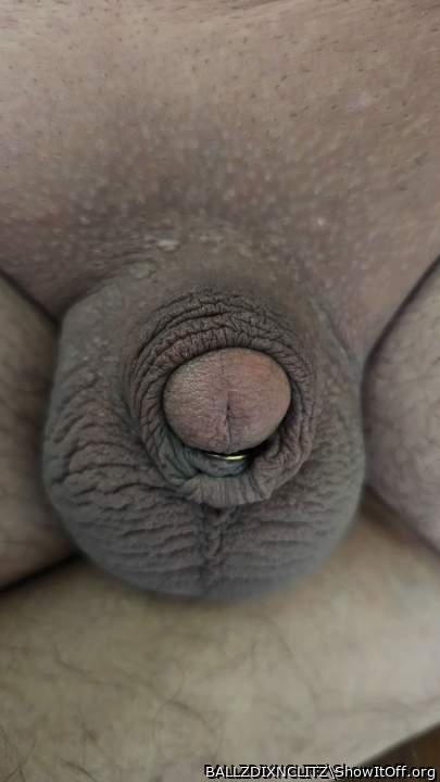 Adult image from BALLZDIXNCLITZ