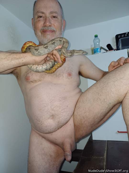 With boa and cornsnake again