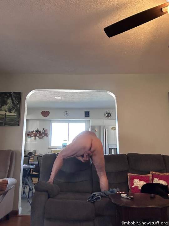 Adult image from jimbobi