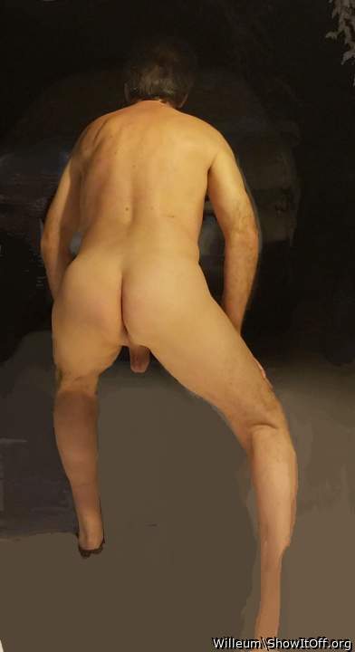 Adult image from Willeum