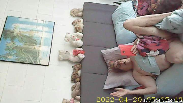 Adult image from Spinifex