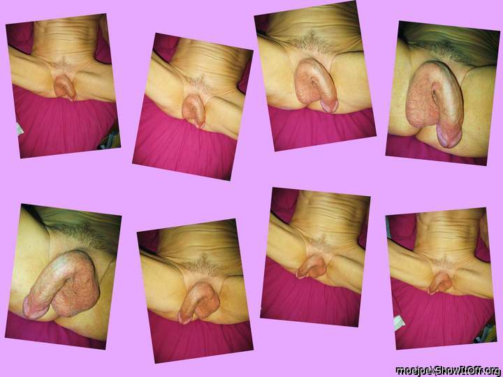 Cock Collage......