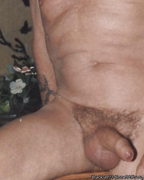 Adult image from Blacklab77
