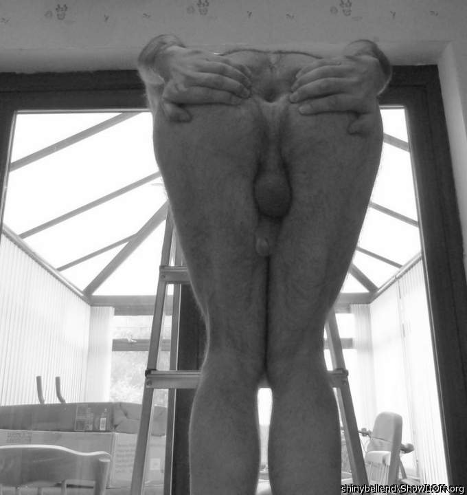 My Open Ass Hole