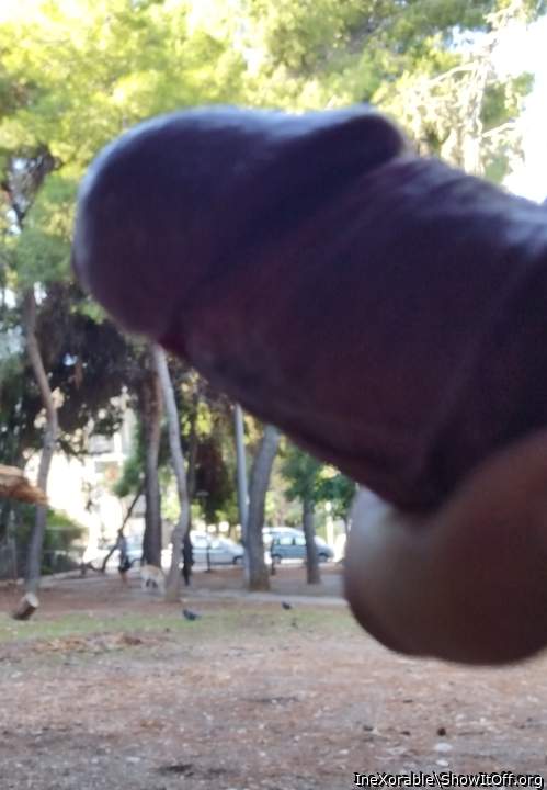 Public masturbation