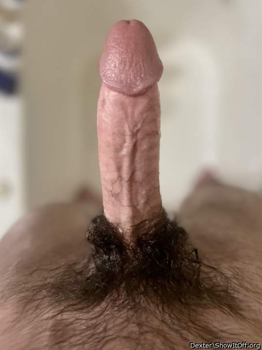 Big Hard Hot Hairy Cock