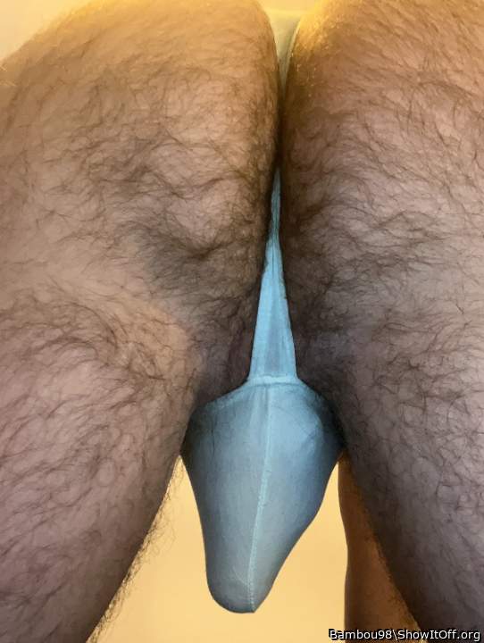 Adult image from Bambou98