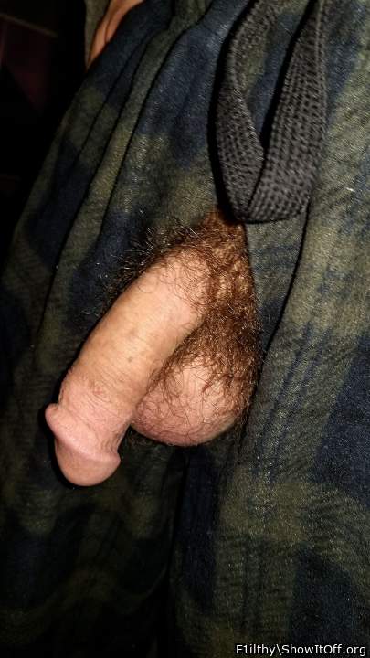 A very attractive hairy dick 