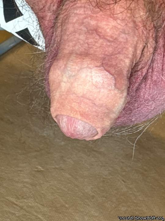 Adult image from Uncutdi