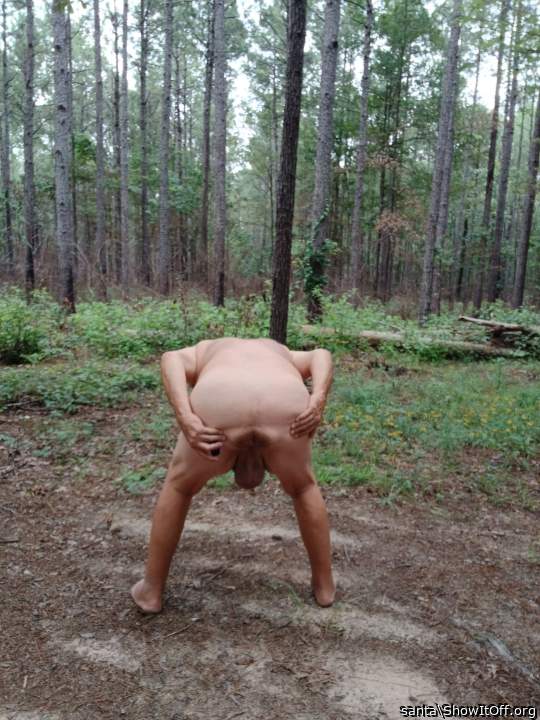 Adult image from santa