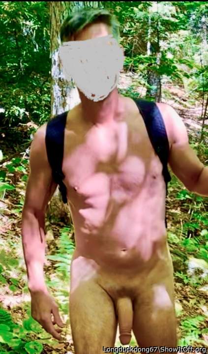 Hiking in White mountains NH