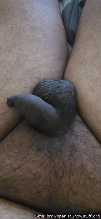 Adult image from Smallbrownpenis