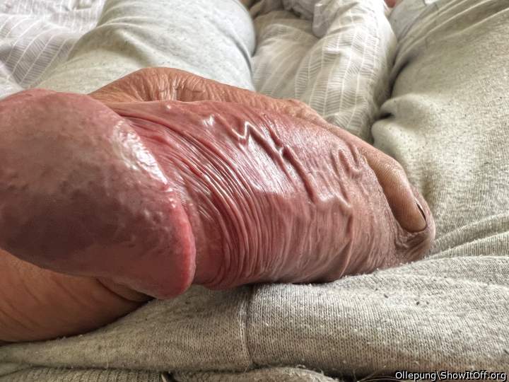 Adult image from Ollepung