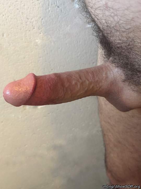 Adult image from mtingi