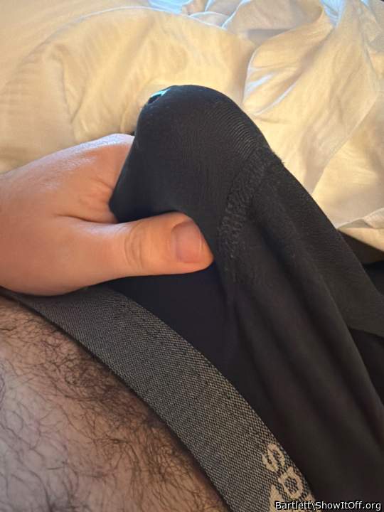 Adult image from Bartlett
