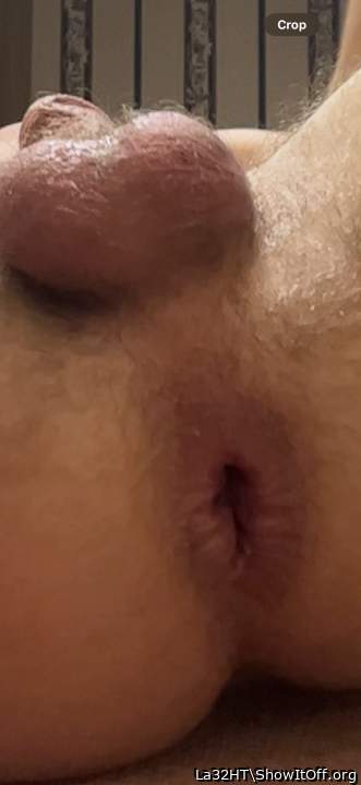 Adult image from La32HT