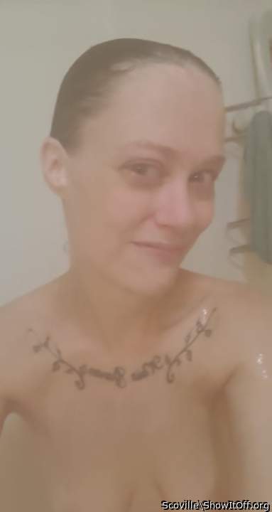 Adult image from Scoville