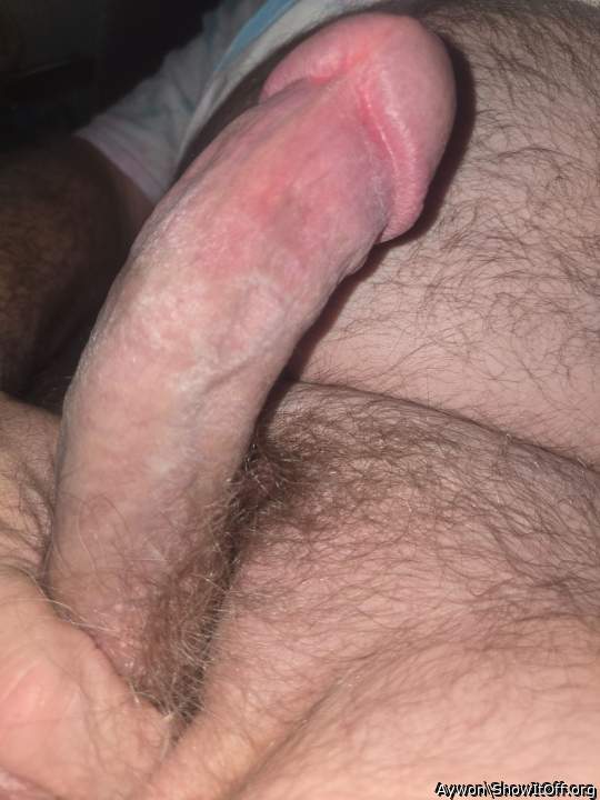 Adult image from Aywon