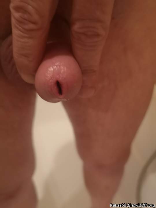 Adult image from Kakas63