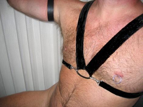 CHEST N HARNESS
